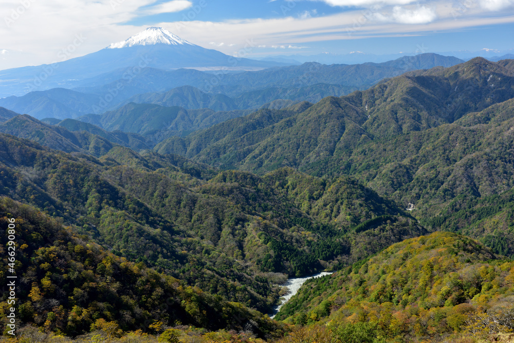 Obraz premium 富士山と紅葉（日本の秋 丹沢・塔ノ岳／鍋割山の道）