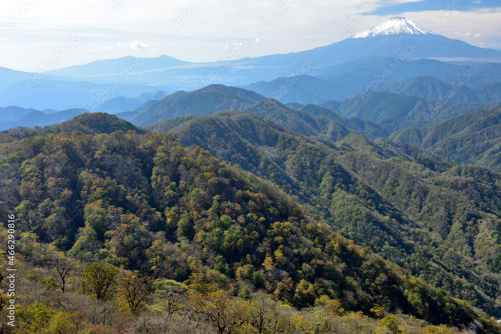 富士山と紅葉(日本の秋 丹沢・塔ノ岳/鍋割山の道) 富士山と紅葉(日本の秋 丹沢・塔ノ岳/鍋割山の道)