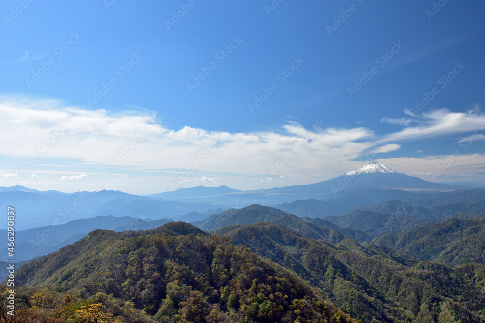 富士山と紅葉（日本の秋　丹沢・塔ノ岳／鍋割山の道）