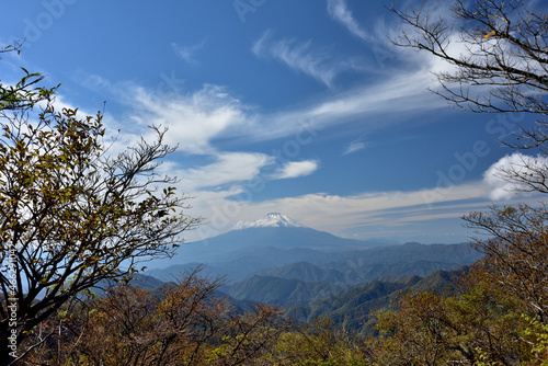 富士山と紅葉（日本の秋 丹沢・塔ノ岳／鍋割山の道）