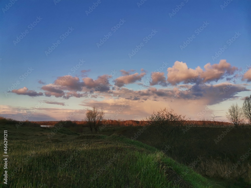 Fototapeta premium sunset in the forest