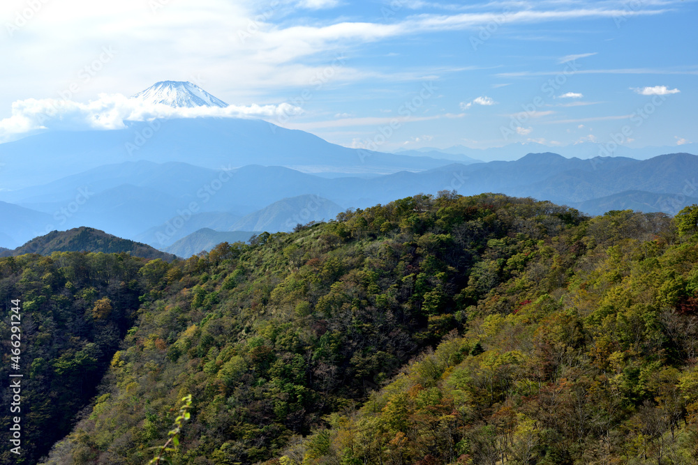 富士山と紅葉(日本の秋 丹沢・塔ノ岳/鍋割山の道) 富士山と紅葉(日本の秋 丹沢・塔ノ岳/鍋割山の道)
