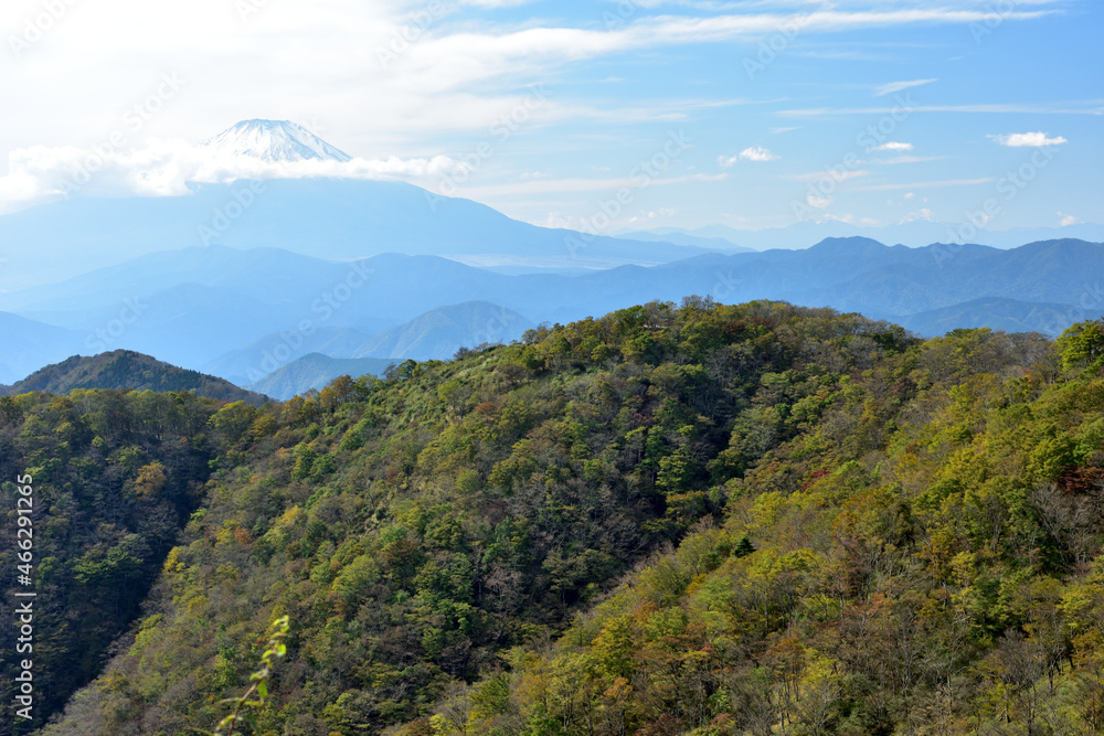 富士山と紅葉（日本の秋　丹沢・塔ノ岳／鍋割山の道）