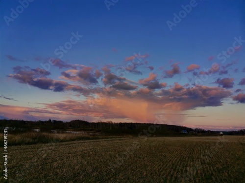 sunset in the field