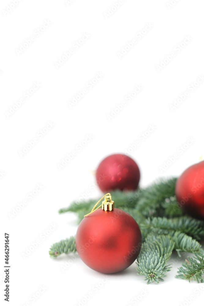 Christmas decoration, red bauble and fir branches on the white background