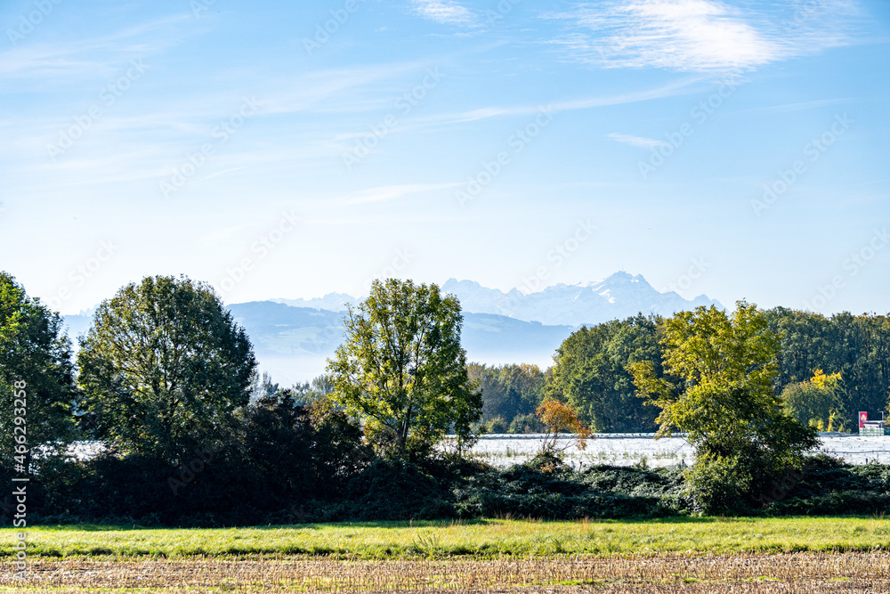 Obraz premium Bodensee