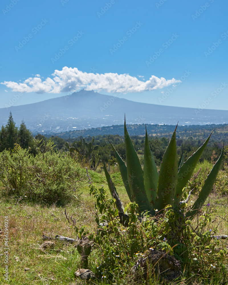 La malinche, mexican volcano in the state of tlaxcala La malinche, mexican volcano in the state of tlaxcala