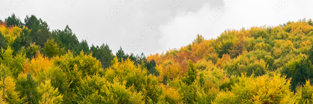 Fall season in Albania. Colorful autumn forest landscape