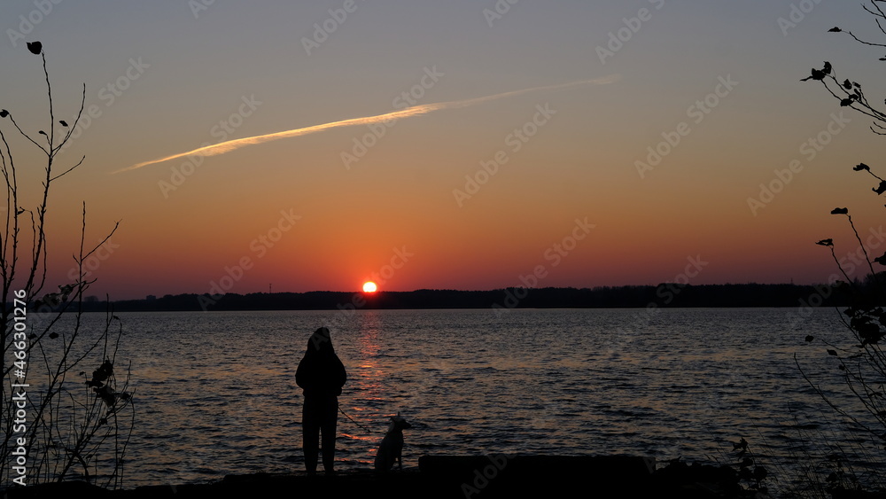 Fototapeta premium White mongrel dog and a girl greet the sunrise by the lake