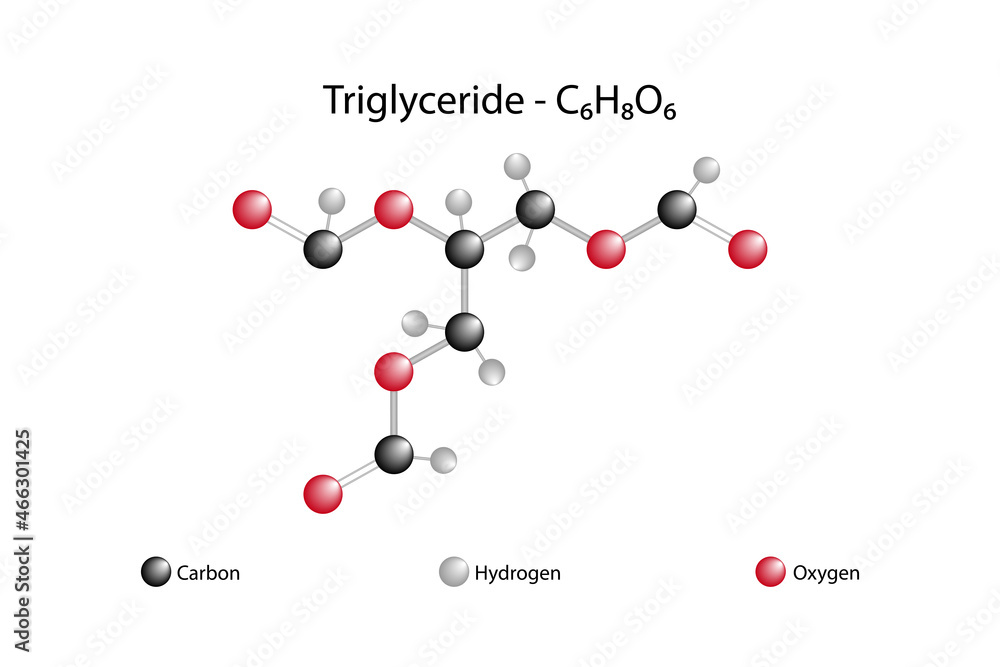 Vettoriale Stock Molecular Formula Of Triglyceride Triglyceride Is An vettoriale-stock-molecular-formula-of-triglyceride-triglyceride-is-an