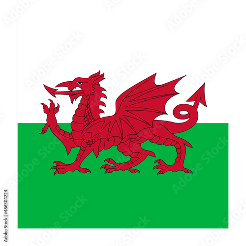 Wales Square Country Flag button Icon