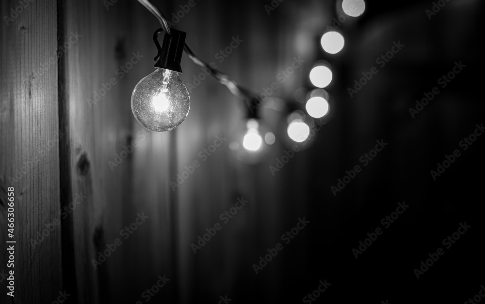 Night Lights Night Lights