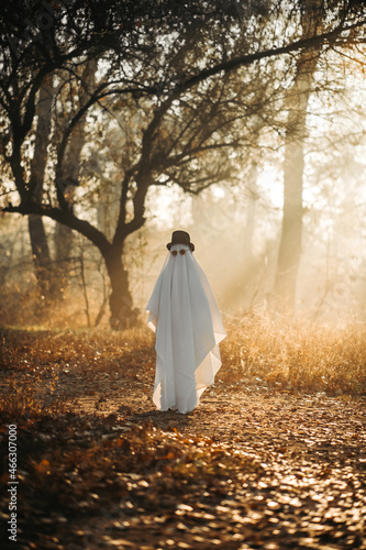 Obraz na plátně A ghost covered with a white ghostly leaf wearing a hat in the forest for Halloween