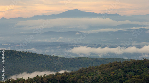 Beautiful natural scenery throughout the forest. The horns and the clouds looked amazing.