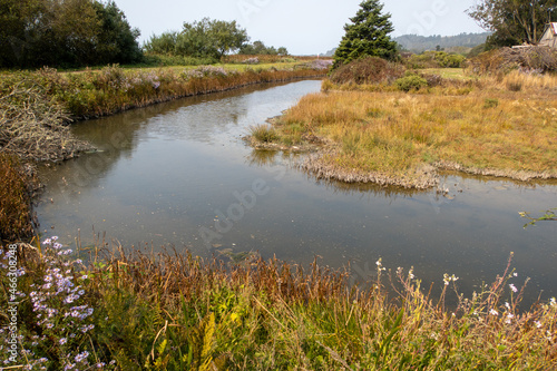 The Eel River Estuary Delta on the California Pacific Coast where there is a Marine Sanctuary for Sea Birds Near Eureka