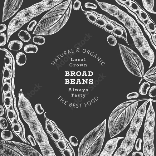 Hand drawn broad beans design template. Organic fresh food vector illustration on chalk board. Retro pods illustration. Botanical style cereal background.