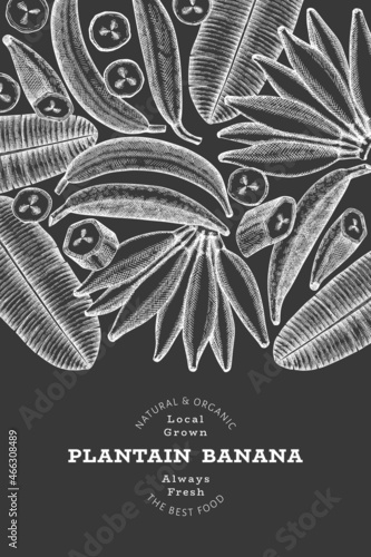 Hand drawn sketch style plantain banner. Organic fresh fruit vector illustration on chalk board. Retro exotic banana fruit design template