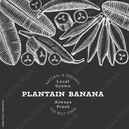 Hand drawn sketch style plantain banner. Organic fresh fruit vector illustration on chalk board. Retro exotic banana fruit design template