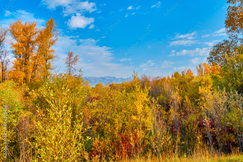 Fototapeta premium Teton mountain range Autumn landscape