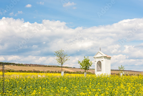 spring landscape near Konice near Znojmo, Czech Republic