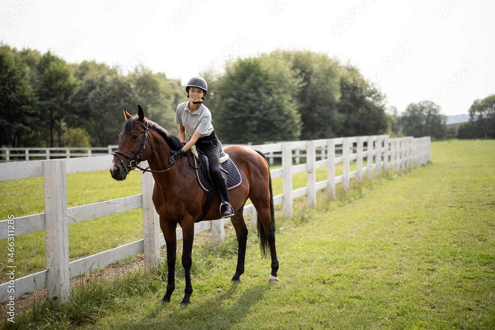 Female horseman riding brown Thoroughbred horse on green meadow in countryside. Concept of rural resting and leisure. Green tourism. Young smiling european woman. Beautiful landscape at sunny day Female horseman riding brown Thoroughbred horse on green meadow in countryside. Concept of rural resting and leisure. Green tourism. Young smiling european woman. Beautiful landscape at sunny day