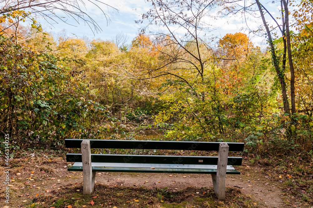 Münchenstein, Wald, Waldweg, Auwald, Laubbäume, Birs, Birstal, Parkbank, Baselland, Herbst, Herbstfarben, Herbstsonne, Wanderweg, Schweiz Münchenstein, Wald, Waldweg, Auwald, Laubbäume, Birs, Birstal, Parkbank, Baselland, Herbst, Herbstfarben, Herbstsonne, Wanderweg, Schweiz