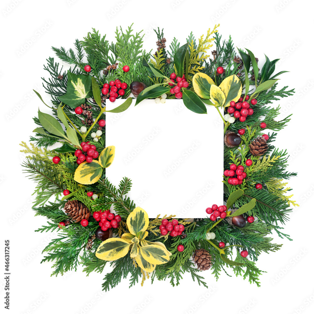 Natural abstract Christmas, winter solstice,, New Year background border with holly and English flora on white. Nature design element for the holiday season. Top view, flat lay, copy space.