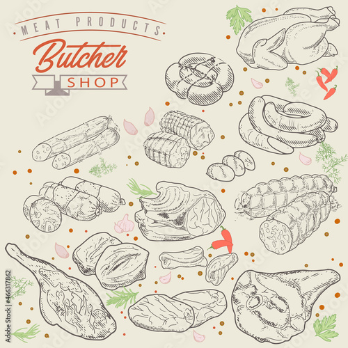 Set of meat products and meat delicacies. Sausages, ham, bacon, lard, salami in sketch style.