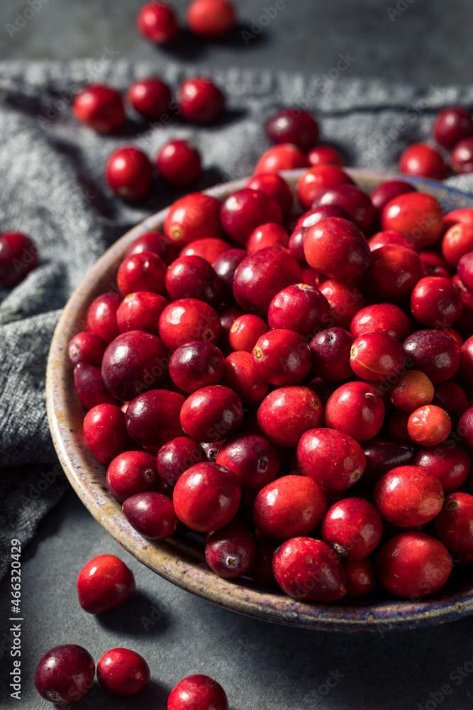 Healthy Red Organic Cranberries Healthy Red Organic Cranberries