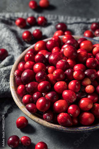 Healthy Red Organic Cranberries