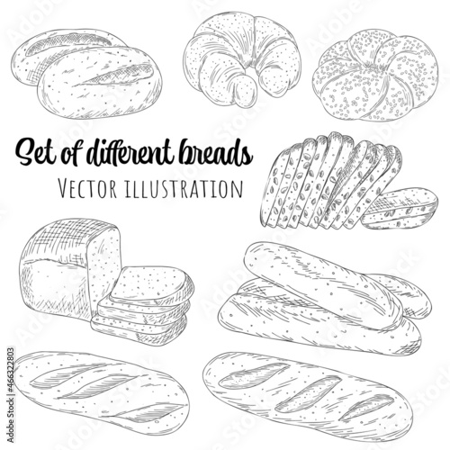 Set of hand drawn outline different bread