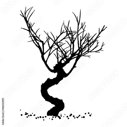 Naked tree silhouette. Hand drawn isolated shape of the tree stem without leaves or needles. Winter season tree or dead old plant. Dropped sick dry foliage. Vector.