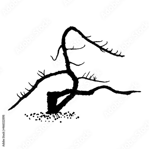 Naked tree silhouette. Hand drawn isolated shape of the tree stem without leaves or needles. Winter season tree or dead old plant. Dropped sick dry foliage. Vector.