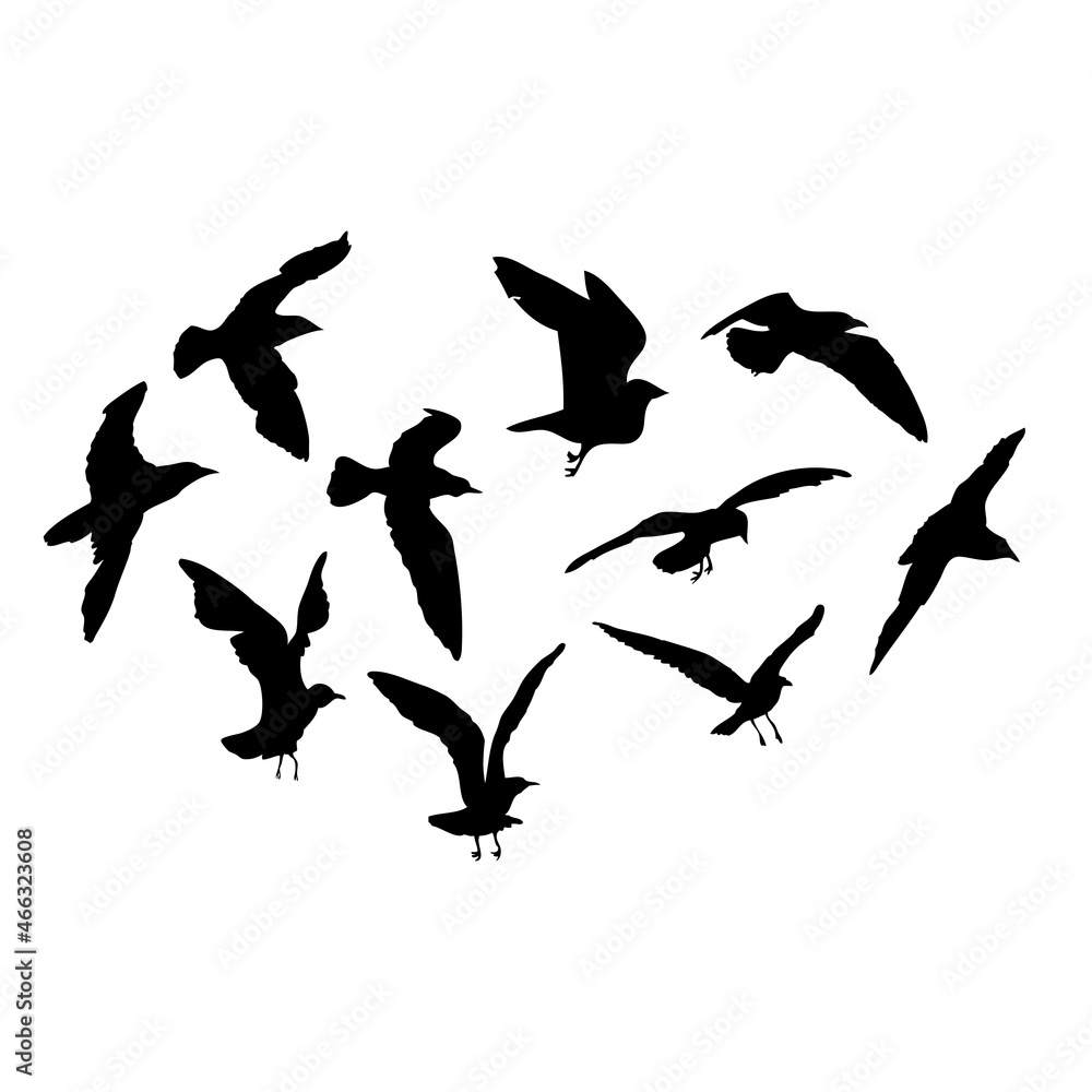 Obraz premium Silhouette set of flying seagulls birds on white background. Inspirational body flash tattoo ink of sea birds. Vector.