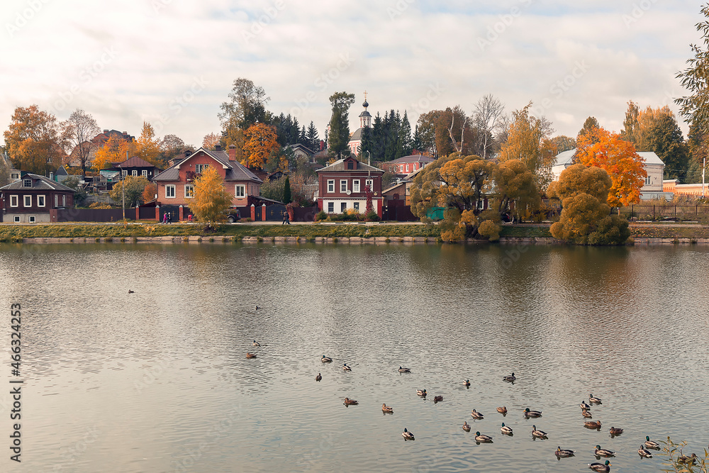 Fototapeta premium Ducks on water surface in front of low-rises and trees against the sky by autumn day