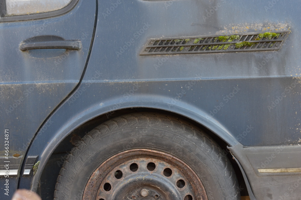 vergessene Schrottautos mit Moos und Flechten vergessene Schrottautos mit Moos und Flechten