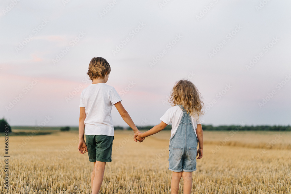 brother and sister in a mowed field of wheat holding hands, the concept of the relationship of children in the family brother and sister in a mowed field of wheat holding hands, the concept of the relationship of children in the family