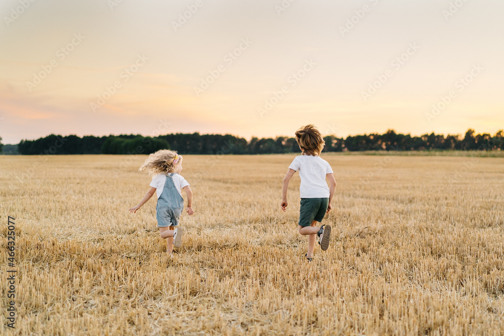 Happy and free people, children run through the beveled field of wheat, people from behind Happy and free people, children run through the beveled field of wheat, people from behind