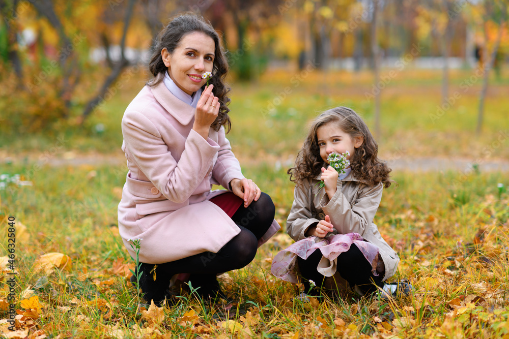 Fototapeta premium Portrait of a mother and daughter in an autumn park. They are gathering flowers in a glade. Happy people pose against the background of beautiful yellow trees.