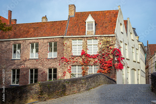 Scenic view of old building with red leaved climbing plant in the old town of Brugge  Belgium