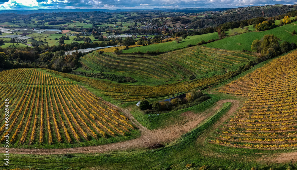 Allassac (Corrèze, France) - La Chartroulle - Vue aérienne des vignobles de la vallée de la Vézère en automne
