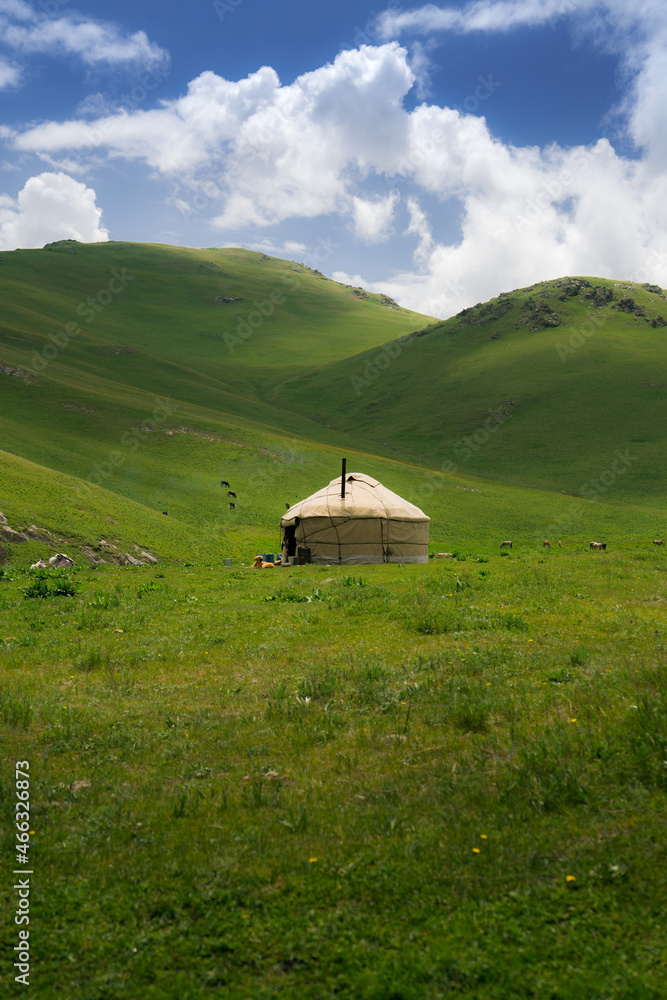 Yurt in the mountains, pastures for cattle and the nomadic lifestyle of the Kyrgyz. Far from the bustle of the city