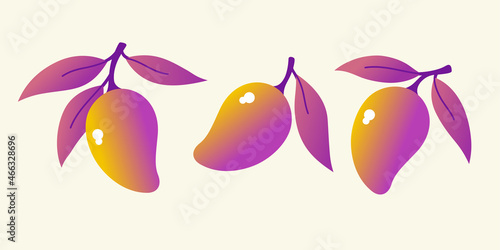 A set of images of tropical mango fruits. Fruit on a branch with leaves. Isolated images on a light background.
