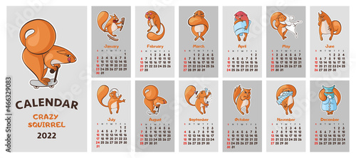 Wall calendar for 2022 crazy squirrel. 12 cartoon squirrels. Week starts on Sunday. Vector, illustration