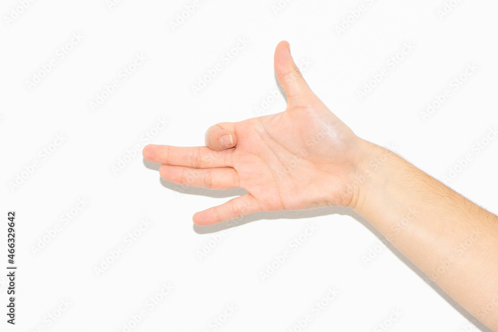 Hand making dog shape white background Hand making dog shape white background