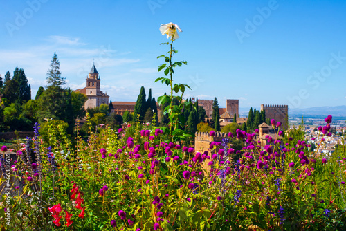 Jardines de la alhambra
Granada  - España
Alhambra Gardens Landscape
Granada - Spain