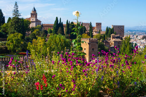 Jardines de la alhambra
Granada  - España
Alhambra Gardens Landscape
Granada - Spain