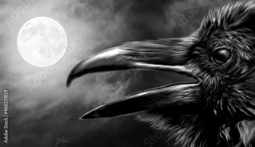 Raven under a black, night sky lit by a full moon. Gothic setting.