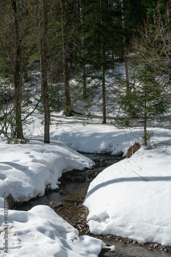 Opened river in early spring among snowdrifts.