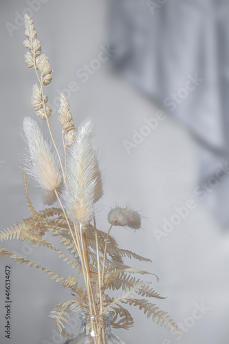 Dry wild grass on winter colors background